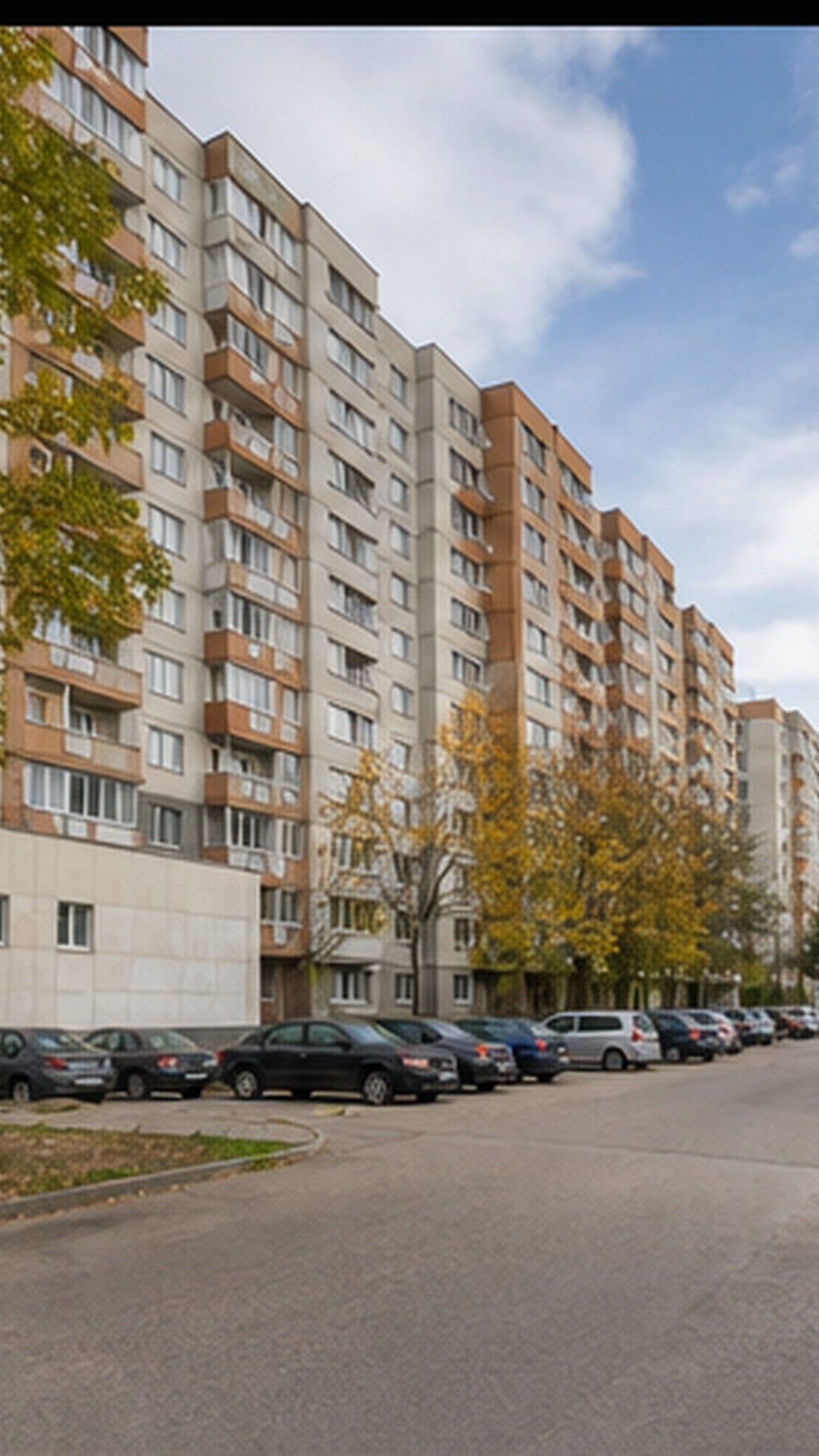 почистена контейнерна площадка в Пловдив